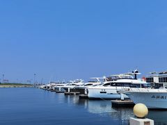 -东港音乐喷泉广场