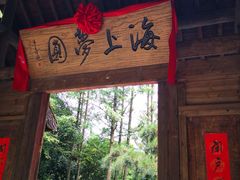 -东平国家森林公园