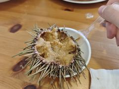 -海胆小馆(东北水饺·春柳店)