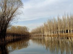 -东郊湿地公园