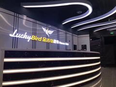 -金吉鸟健身游泳