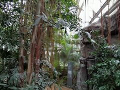 -国家植物园南园