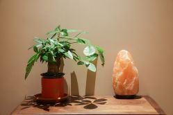 -芳香乐府SPA·五行芳疗