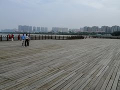 -五缘湾湿地公园