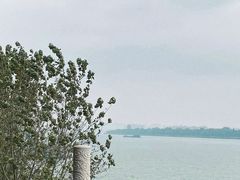 -杜甫江阁