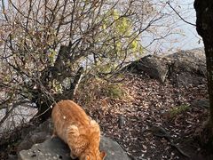 -终南山南五台景区