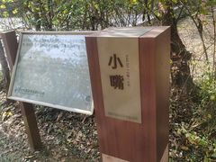 -盘龙城国家考古遗址公园