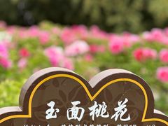 -洛阳市隋唐城遗址植物园