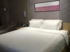 -麗枫酒店(广州科学城黄陂地铁站店)