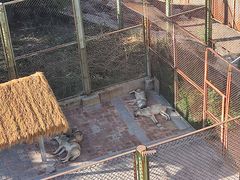 -青藏高原野生动物园