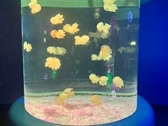 -欢乐海岸海洋奇梦馆