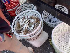 -芦潮港集贸市场