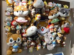 -逗柴咖啡屋·狗咖猫咖宠物桌游