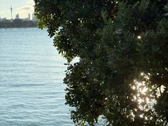 -金鹰国际购物中心(淮安店)