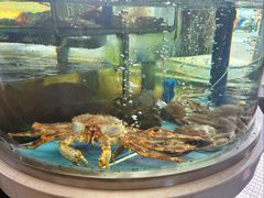 -乐在集市海鲜大排档(平潭店)