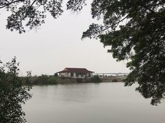-大湾区中央湿地公园