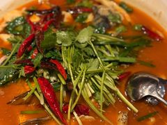 -清水亭湖北菜(大屯DT51店)