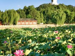 -北海公园-停车场