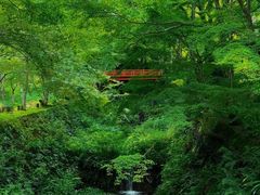 -三千院
