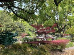 -申粤轩酒楼·三十年粤菜经典(丁香花园店)
