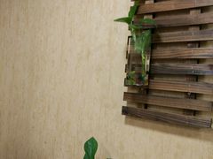 -天一朴素(武汉大学店)