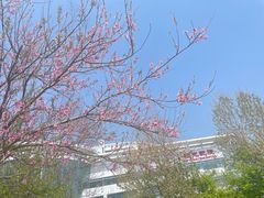 -河北省眼科医院