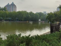 -团结湖公园