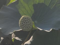 -哈尔滨师范大学(松北校区)