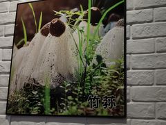 -菌乡缘·野生菌蒸汽鱼火锅(江边夜市店)
