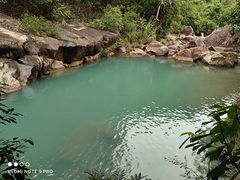 -广州白江湖森林公园