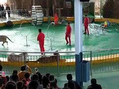 -泉州海丝野生动物世界