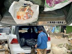 -成都爱之家动物救助中心