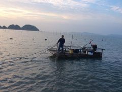 -北岐滩涂