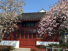 -八大山人梅湖景区