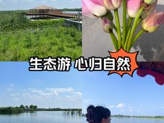 -白洋淀景区