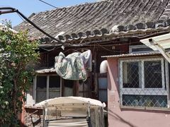 -北京西鹤年堂中医医院