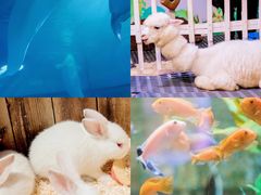 -正佳极地海洋世界