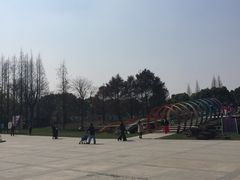 -上海植物园·停车场