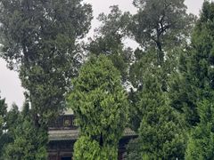 -报恩寺(平武县)