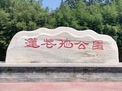 -莲花池公园