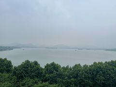 -杭州君悦酒店