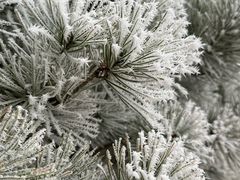 -兴芮温泉度假区