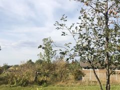 -安德鲁户外烧烤帐篷营地(马泉营店)