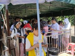 -广东惠东海龟国家级自然保护区
