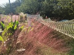 -杭州少年儿童公园