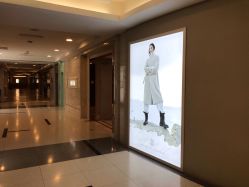 -美丽田园