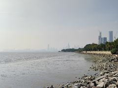 -深圳湾公园(南山区)