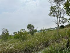 -上海都市菜园