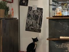 -旧天堂书店(华侨城创意文化园南山特色文化街区店)