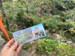 -大岭沟猕猴桃谷风景区